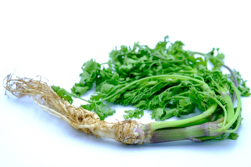 Fresh Herbs