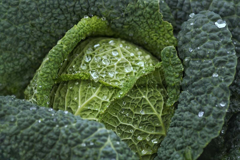 Kale and Quinoa Salad